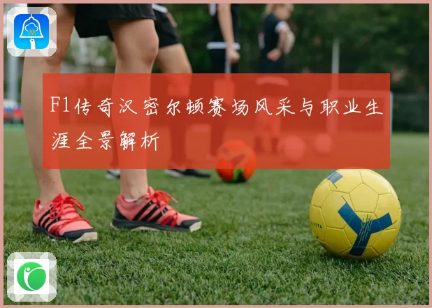 F1传奇汉密尔顿赛场风采与职业生涯全景解析