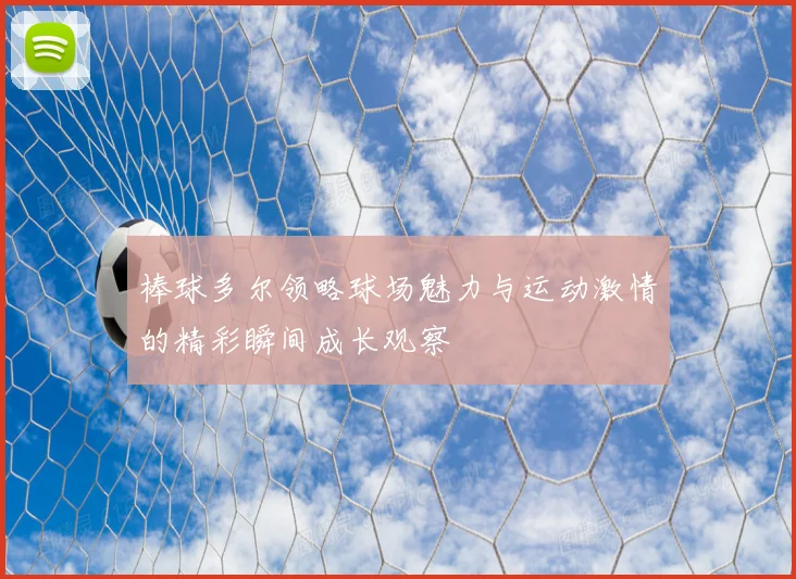 棒球多尔领略球场魅力与运动激情的精彩瞬间成长观察