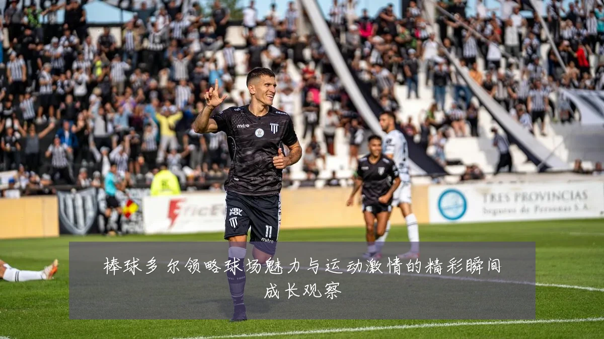 棒球多尔领略球场魅力与运动激情的精彩瞬间成长观察