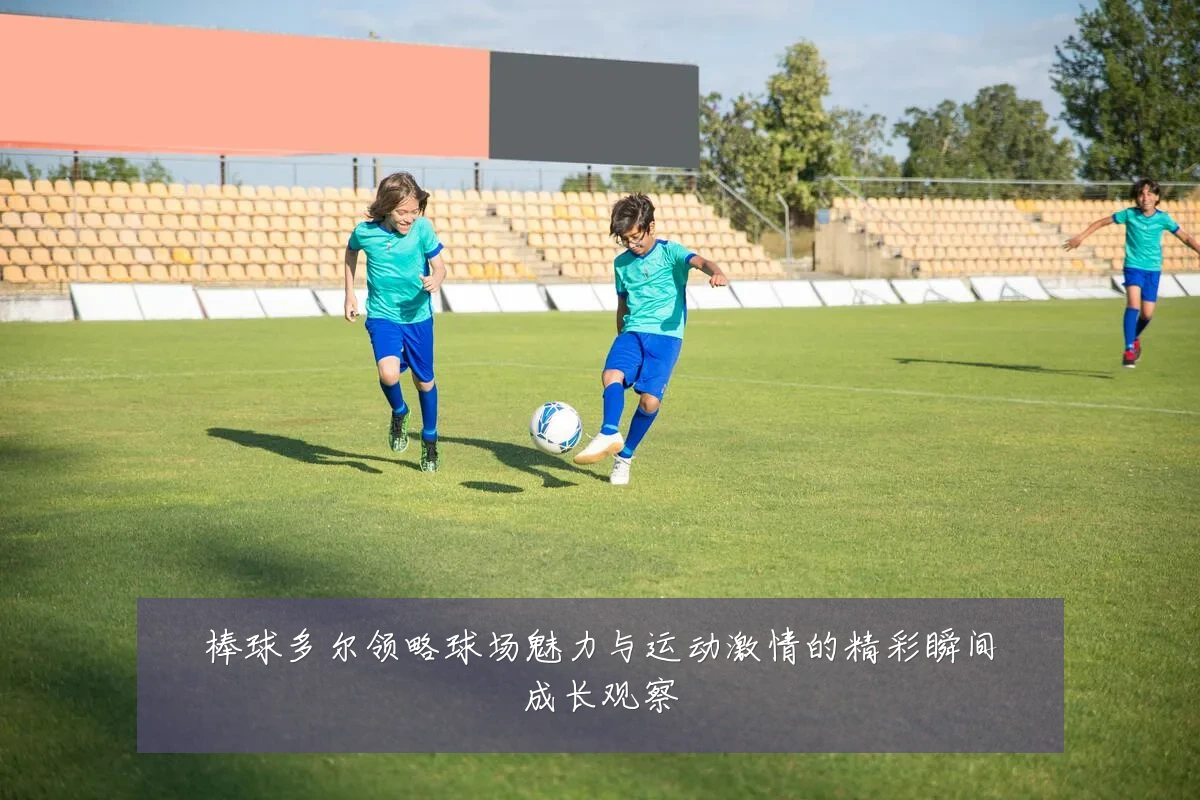 棒球多尔领略球场魅力与运动激情的精彩瞬间成长观察